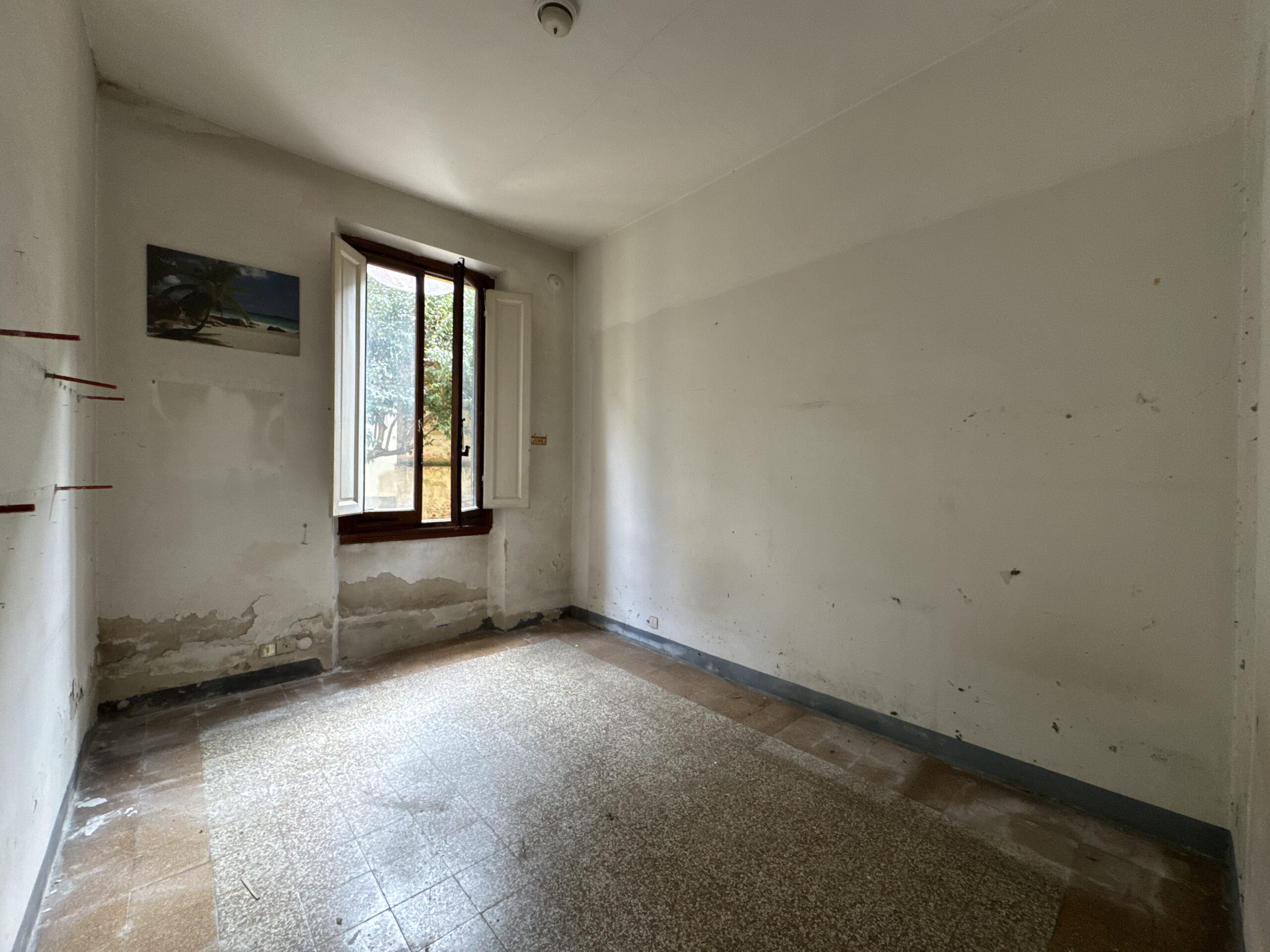 Prima di Hora